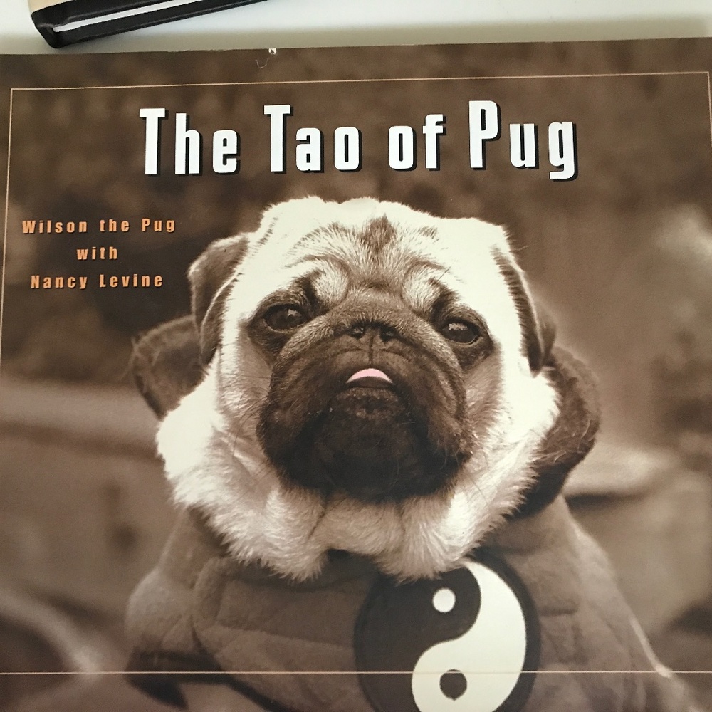The Tao of Pug hardback by Nancy Levine